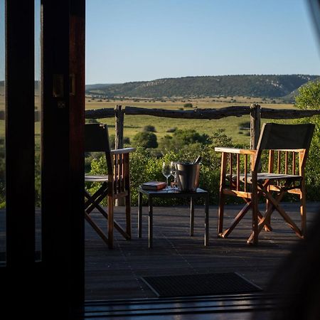 Hillsnek Safari Camp - Amakhala Game Reserve ภายนอก รูปภาพ