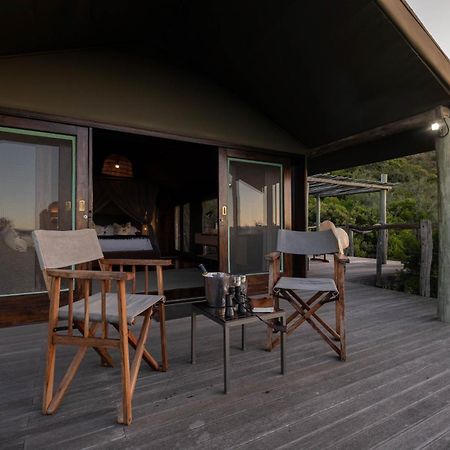 Hillsnek Safari Camp - Amakhala Game Reserve ภายนอก รูปภาพ
