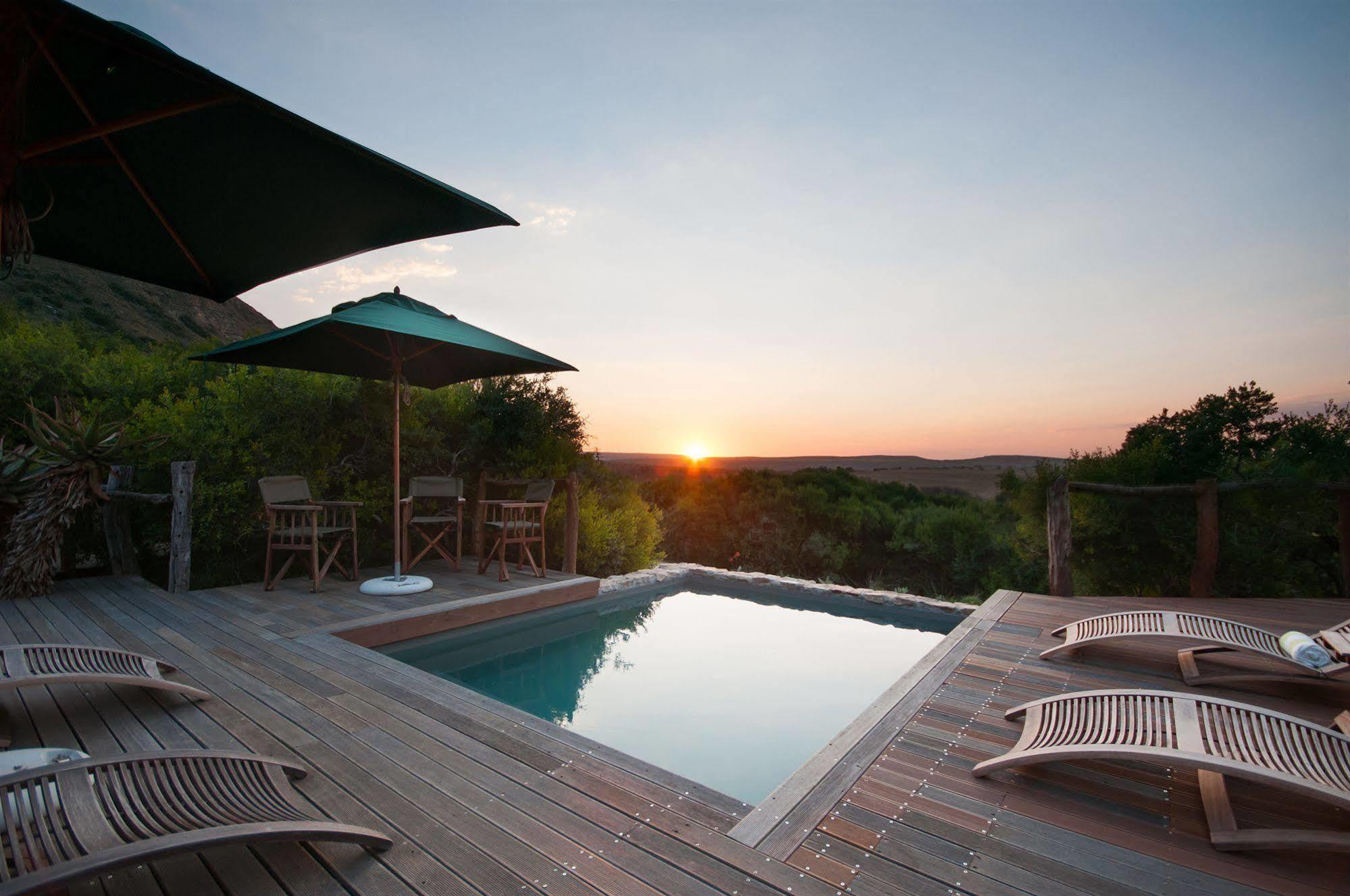 Hillsnek Safari Camp - Amakhala Game Reserve ภายนอก รูปภาพ