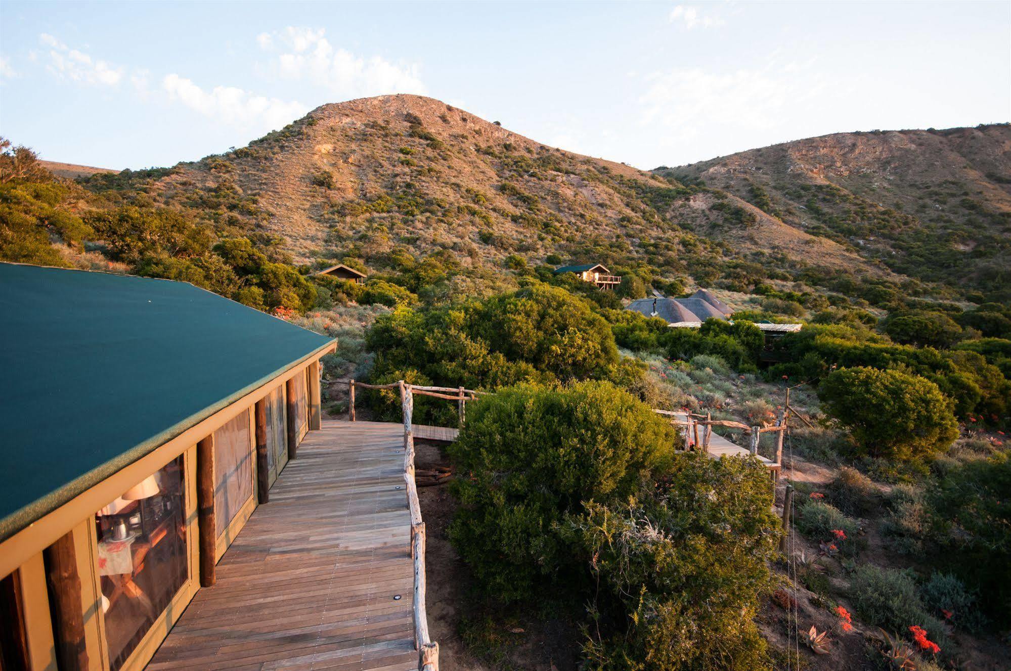 Hillsnek Safari Camp - Amakhala Game Reserve ภายนอก รูปภาพ