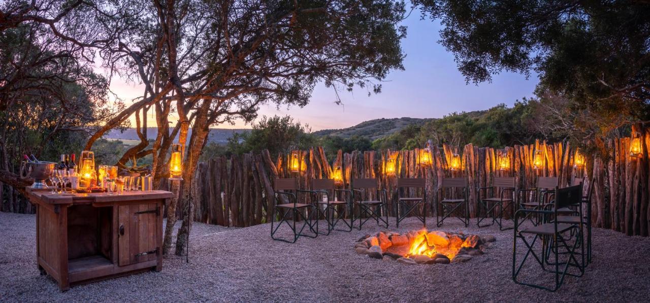 Hillsnek Safari Camp - Amakhala Game Reserve ภายนอก รูปภาพ