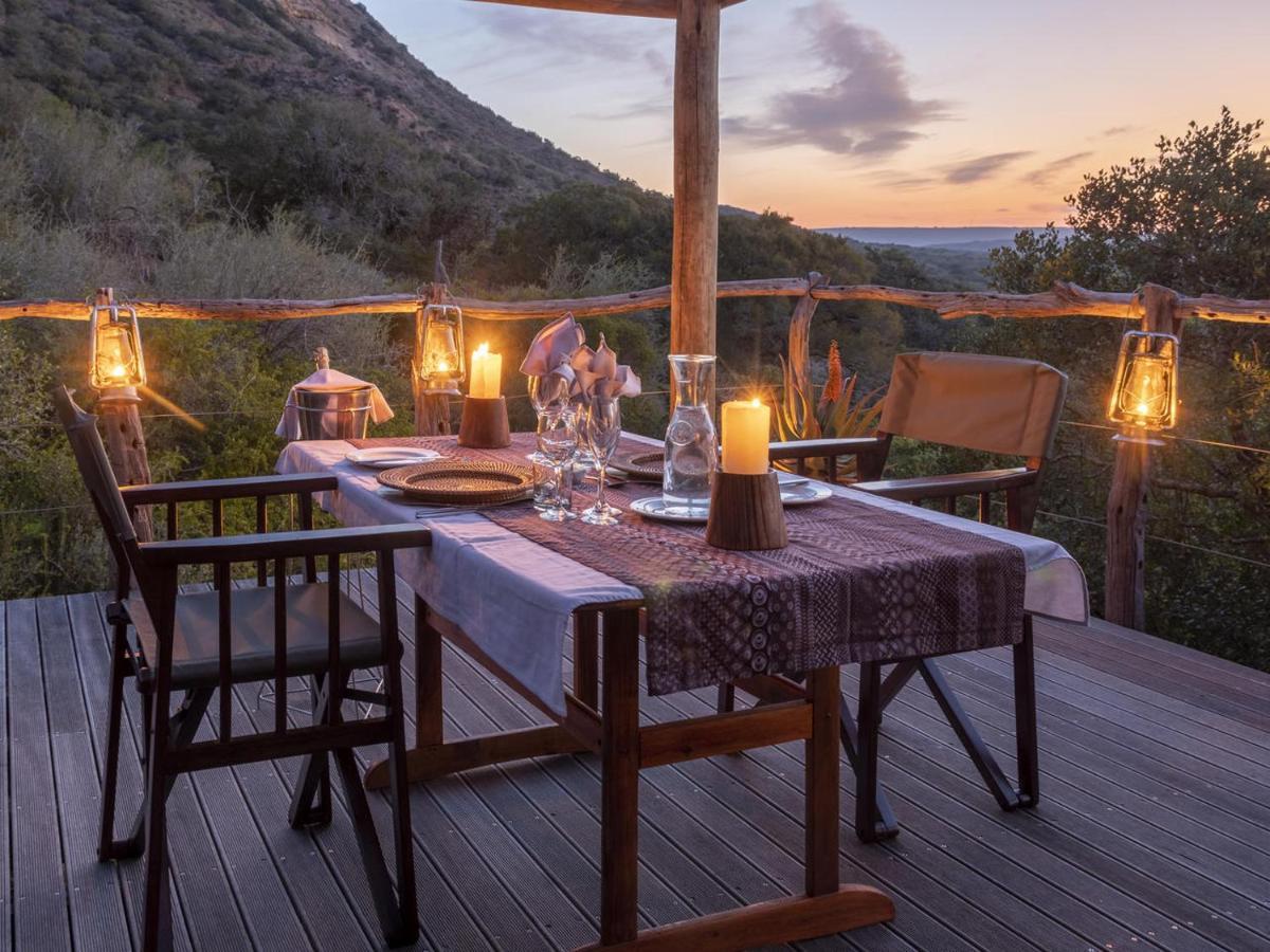 Hillsnek Safari Camp - Amakhala Game Reserve ภายนอก รูปภาพ