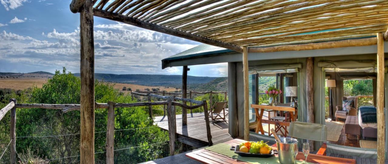 Hillsnek Safari Camp - Amakhala Game Reserve ภายนอก รูปภาพ